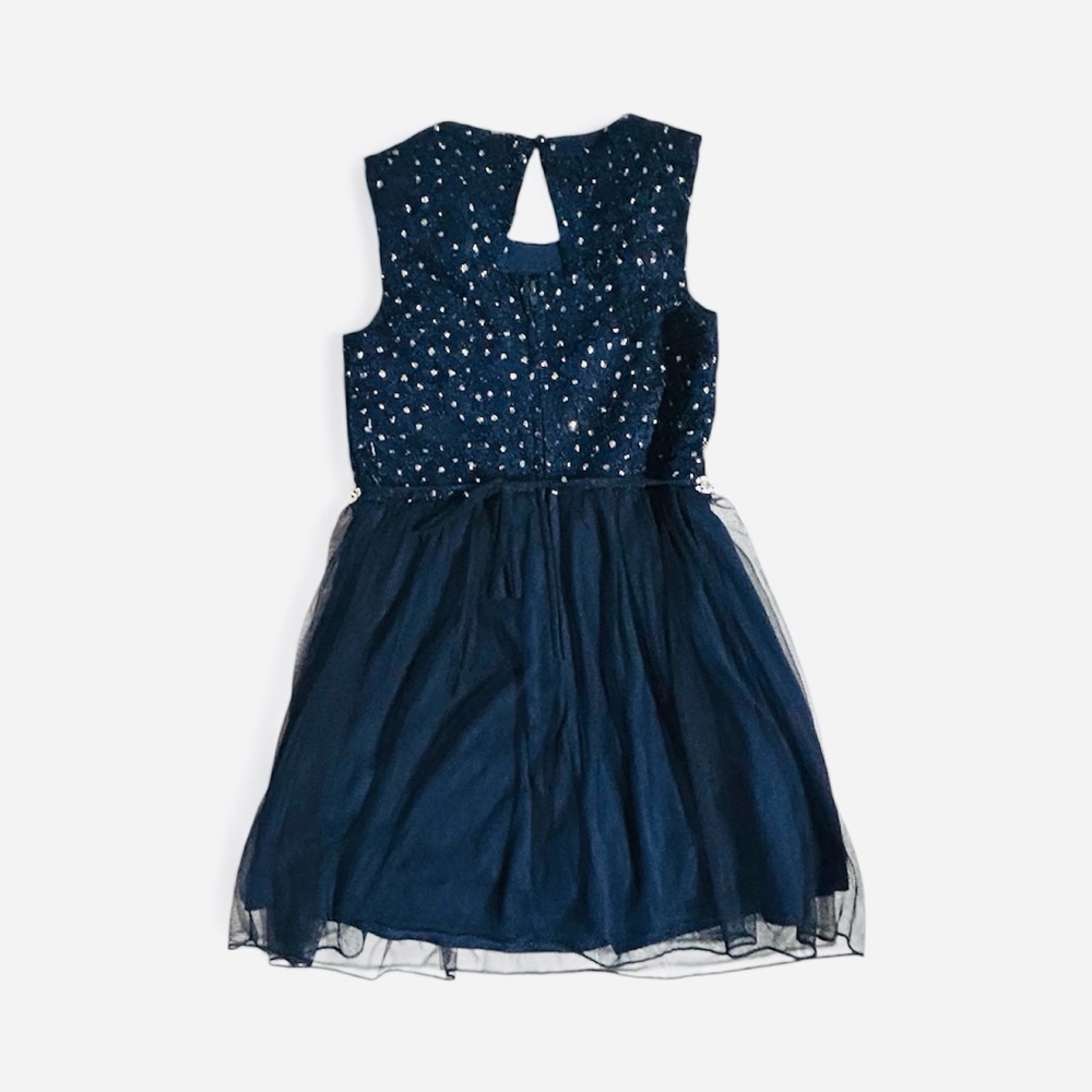 Girl Speechless Lace to Tulle Jeweled Waist Dress with Silver Accents Size 4